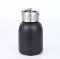 Thermos 300ml