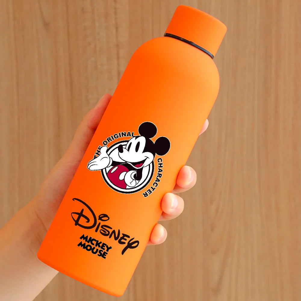Gourde isotherme disney