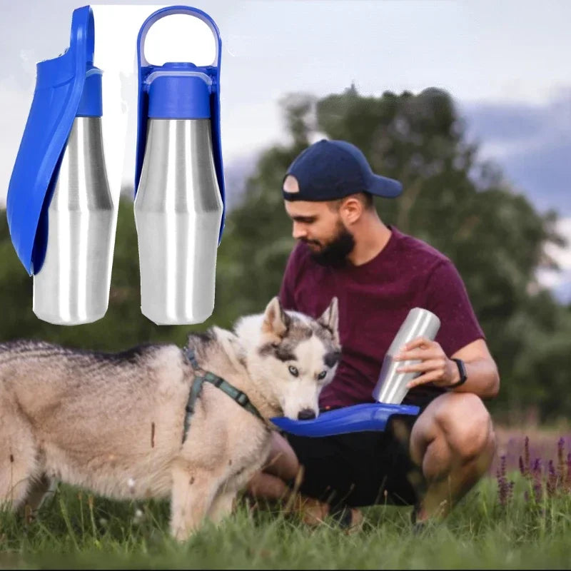 Gourde isotherme chien