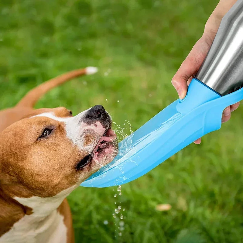 Gourde isotherme chien