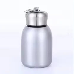 Thermos 300ml